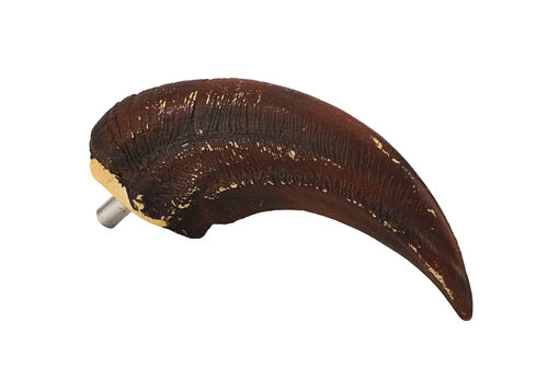 Lot #725 - THE LOST WORLD: JURASSIC PARK (1997) - Velociraptor Claw