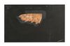 Lot #741 - LABYRINTH (1986) - Owl Title Sequence Digital Mapping Paintings - 12