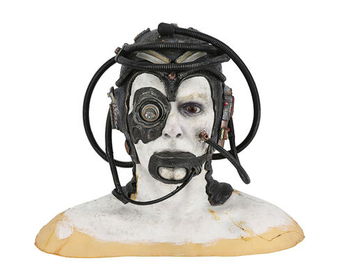 Lot #901 - STAR TREK: THE NEXT GENERATION (T.V. SERIES, 1987 - 1994) - Borg Museum Bust