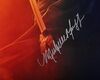Lot #1013 - STARDUST (2007) - Cast-autographed Poster - 3