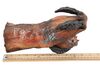 Lot #1063 - TREMORS (1990) - Kevin Bacon and Michael Gross Autographed Graboid Tendril - 9