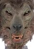 Lot #393 - UNDERWORLD: EVOLUTION (2006) - Lycan Head - 7