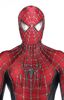 Lot #301 - SPIDER-MAN 3 (2007) - Production-made Spider-Man (Tobey Maguire) Costume - 3