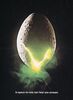 Lot #9 - ALIEN (1979) - US Insert, 1979 - 4