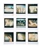 Lot #187 - CLASS OF NUKE 'EM HIGH (1986) - FEREF ARCHIVE: Production Stills, Screenshot Polaroids and Slides - 2