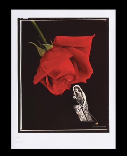 Lot #586 - THE ROSE (1979) - FEREF ARCHIVE: Original Transparency with 1 of 1 Proof Print, 2021