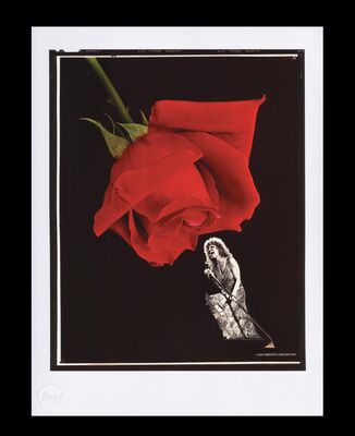 Lot #586 - THE ROSE (1979) - FEREF ARCHIVE: Original Transparency with 1 of 1 Proof Print, 2021