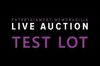 DAY 2 HAS ENDED - BIDDING PRACTICE TEST LOT - PLEASE TEST YOUR BID BUTTON - THE VIDEO STREAM WILL BEGIN at 14:50 GMT / 06:50 PST
