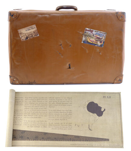 Lot # 34: Netflix's A Series of Unfortunate Events (TV Series) - Count Olaf's Peru Suitcase with Uncle Monty's Anaconda Poster