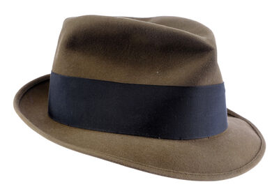 Lot # 49: Netflix's A Series of Unfortunate Events (TV Series) - Lemony Snicket's Hat