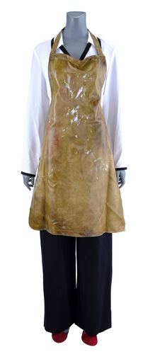 Lot # 75: Netflix's A Series of Unfortunate Events (TV Series) - Olivia Caliban's Librarian Costume