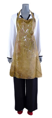 Lot # 75: Netflix's A Series of Unfortunate Events (TV Series) - Olivia Caliban's Librarian Costume