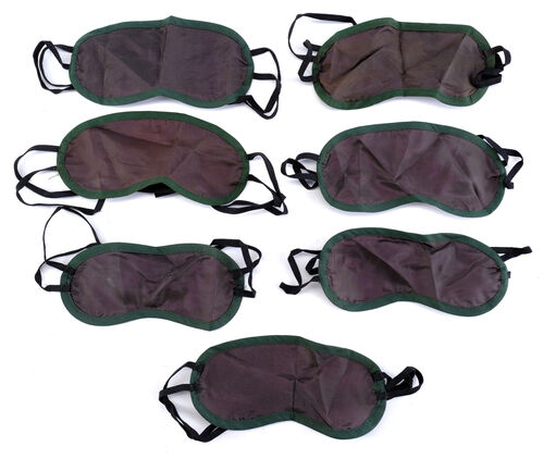 Lot # 214: Netflix's A Series of Unfortunate Events (TV Series) - The Baudelaires and Mr. Poe's "Justice is Blind" Masks