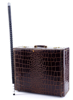 Lot # 103: Netflix's A Series of Unfortunate Events (TV Series) - Count Olaf Crocodile Skin Luggage with Gunther Cane