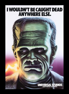 Lot #299 - FRANKENSTEIN (1931) - Universal Studios Theme Park Poster, 1985