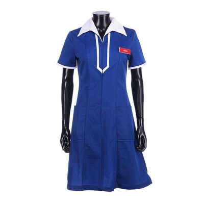Lot # 33: Arthur (1981) - Linda Marolla's (Liza Minnelli) Waitress Dress
