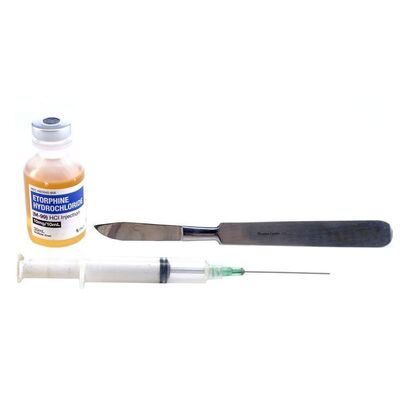 Lot # 109: Dexter (T.V. Series, 2006 - 2013) - Dexter Morgan's (Michael C. Hall) SFX Scalpel and Syringe with Tranquilizer
