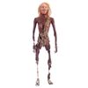 Lot # 117: Evil Dead II (1987) - Doug Beswick Collection: Stop-Motion Dancing Linda (Denise Bixler) Puppet