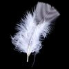 Lot # 128: Forrest Gump (1994) - Forrest Gump's (Tom Hanks) Production-used Feather
