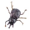 Lot # 181: Indiana Jones And The Temple Of Doom (1984) - Banquet Beetle