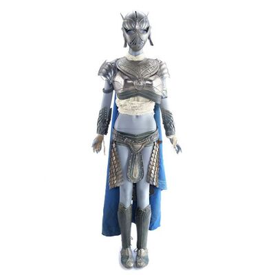 Lot # 206: John Carter (2012) - Female Helium Soldier Armor