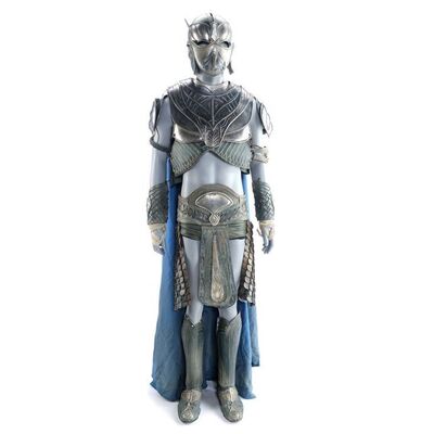 Lot # 207: John Carter (2012) - Male Helium Soldier Armor