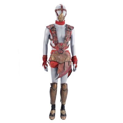 Lot # 208: John Carter (2012) - Zodongan Helmsman Armor