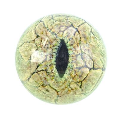 Lot # 214: Jurassic Park (1993) - Velociraptor Reference Eye
