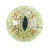Lot # 214: Jurassic Park (1993) - Velociraptor Reference Eye