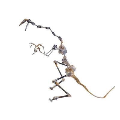 Lot # 217: Jurassic Park (1993) - Dilophosaurus Stop-Motion Armature