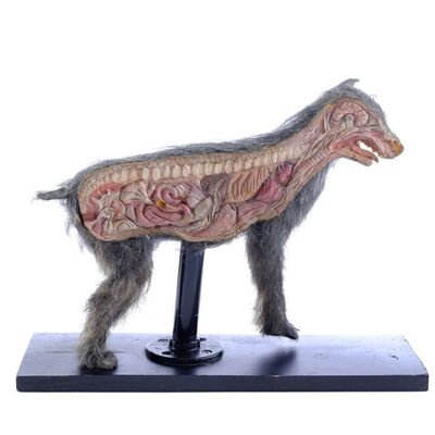 Lot # 296: The Return Of The Living Dead (1985) - Screen-Matched Split Dog Puppet Rig