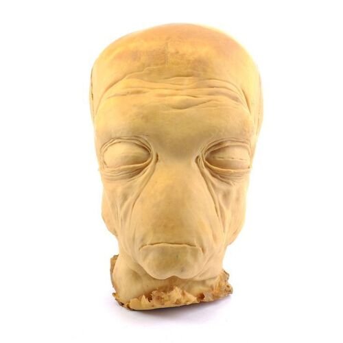 Lot # 392: Star Wars: A New Hope (1977) - Unfinished Duros Head