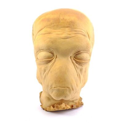 Lot # 392: Star Wars: A New Hope (1977) - Unfinished Duros Head
