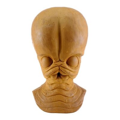 Lot # 393: Star Wars: A New Hope (1977) - Doug Beswick Collection: Cantina Band Member Mask Master