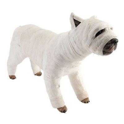 Lot # 448: There's Something About Mary (1998) - Stunt Puffer the Dog in Cast for Car Sequences