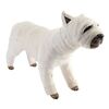 Lot # 448: There's Something About Mary (1998) - Stunt Puffer the Dog in Cast for Car Sequences