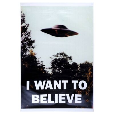 Lot # 476: The X-Files (T.V. Series, 1997-1998) - Fox Mulder's (David Duchovny) Season 5 "I Want To Believe" Poster
