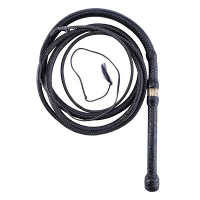 Lot # 484: The Legend Of Zorro (2005) - Zorro's (Antonio Banderas) Whip