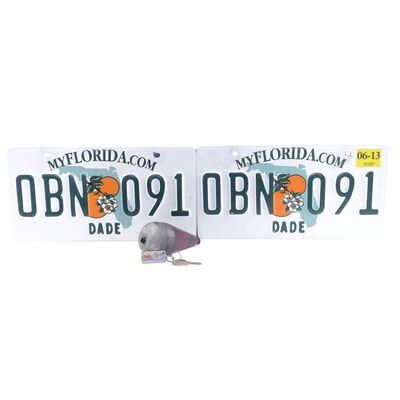 Lot # 661: Dexter (T.V. Series, 2006 - 2013) - Dexter Morgan's (Michael C. Hall) License Plates and Personal Items