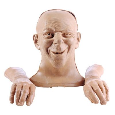 Lot # 673: Disneyland Park - Animatronic Pirate Head and Hand Castings