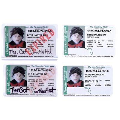 Lot # 683: Dr. Seuss' The Cat In The Hat (2003) - Set of Four Cat in the Hat (Mike Myers) Prototype IDs