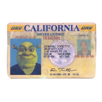 Lot # 720: Fast & Furious (2009) - Dominic Toretto's (Vin Diesel) Test Driver's License
