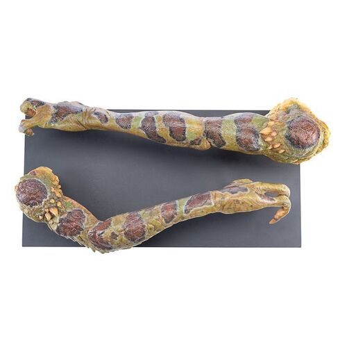 Lot # 794: Gremlins 2: The New Batch (1990) - Pair of Gremlin Arms