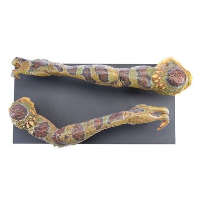 Lot # 794: Gremlins 2: The New Batch (1990) - Pair of Gremlin Arms