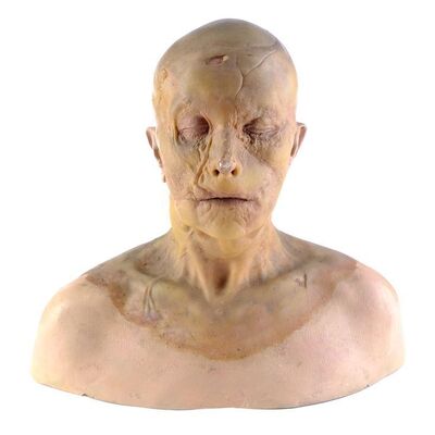 Lot # 797: Hannibal (2001) - Mason Verger (Gary Oldman) Makeup Reference Bust
