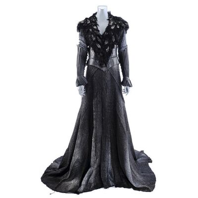 Lot # 804: Hansel & Gretel: Witch Hunters (2013) - Muriel's Hero Costume