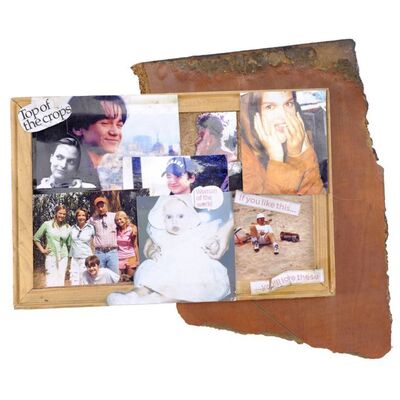 Lot # 817: The Hills Have Eyes (2006) - Battle-Damaged Carter Family RV Collage