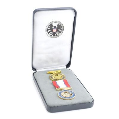 Lot # 939: Marvel's Agents Of S.H.I.E.L.D. (T.V. Series, 2015) - Melinda May's S.H.I.E.L.D. Distinction Medal