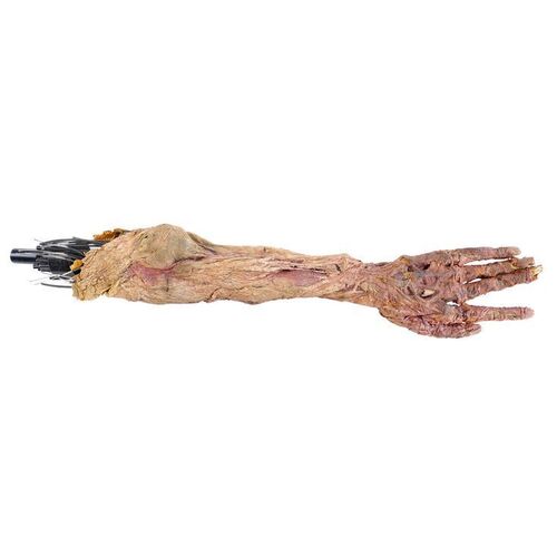 Lot # 995: The Mummy (1999) - Imhotep's (Arnold Vosloo) Animatronic Arm