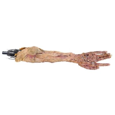 Lot # 995: The Mummy (1999) - Imhotep's (Arnold Vosloo) Animatronic Arm